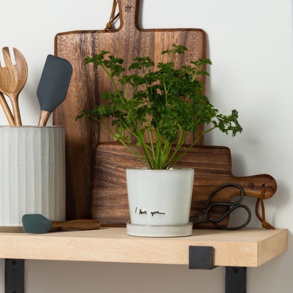 SOLD 🛑 HEARTH AND HAND I Love you inscribed PLANT